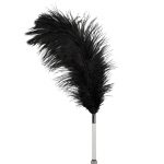 Feather Wand