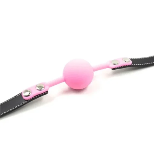 Ball Gag + Lock Pink