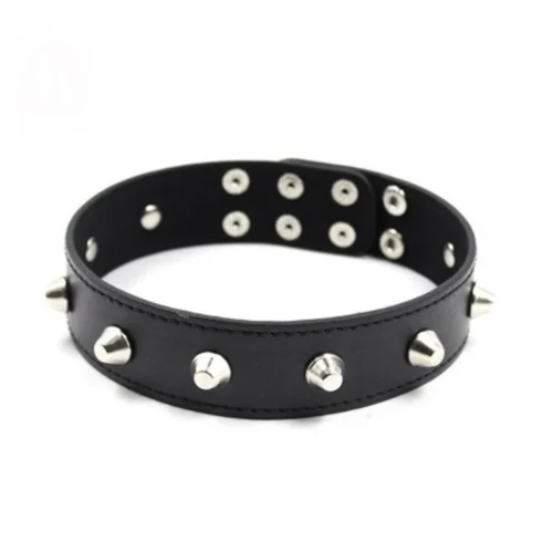 Neck collar with studs
