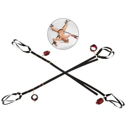 Bed & Door Restraint Set