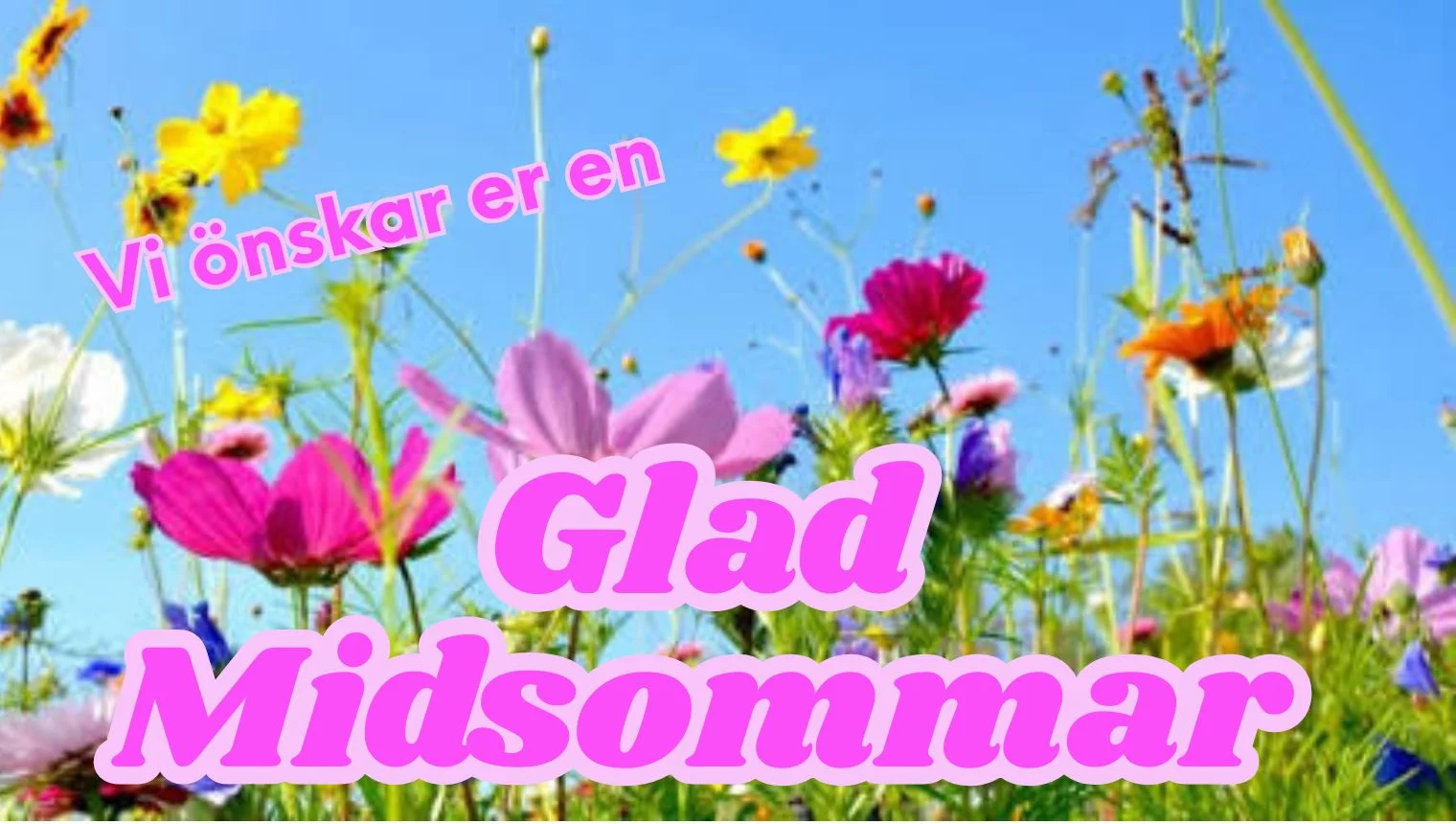Vi önskar er en skön midsommar med sexleksaker från passionerat
