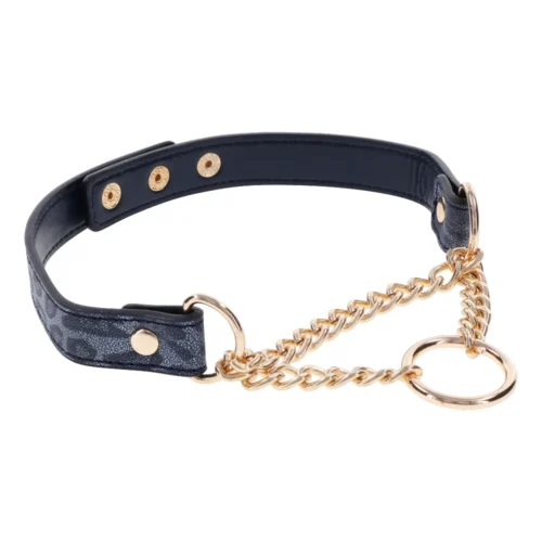 Sex and Mischief Day Collar