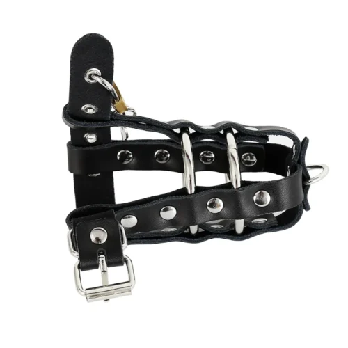Penis Ringstrap