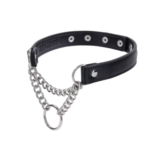 Sex and Mischief Shadow Day Collar